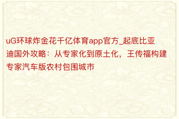 uG环球炸金花千亿体育app官方_起底比亚迪国外攻略：从专家化到原土化，王传福构建专家汽车版农村包围城市