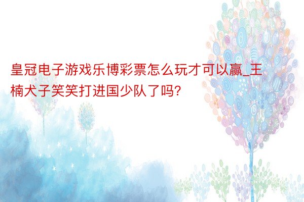 皇冠电子游戏乐博彩票怎么玩才可以赢_王楠犬子笑笑打进国少队了吗？